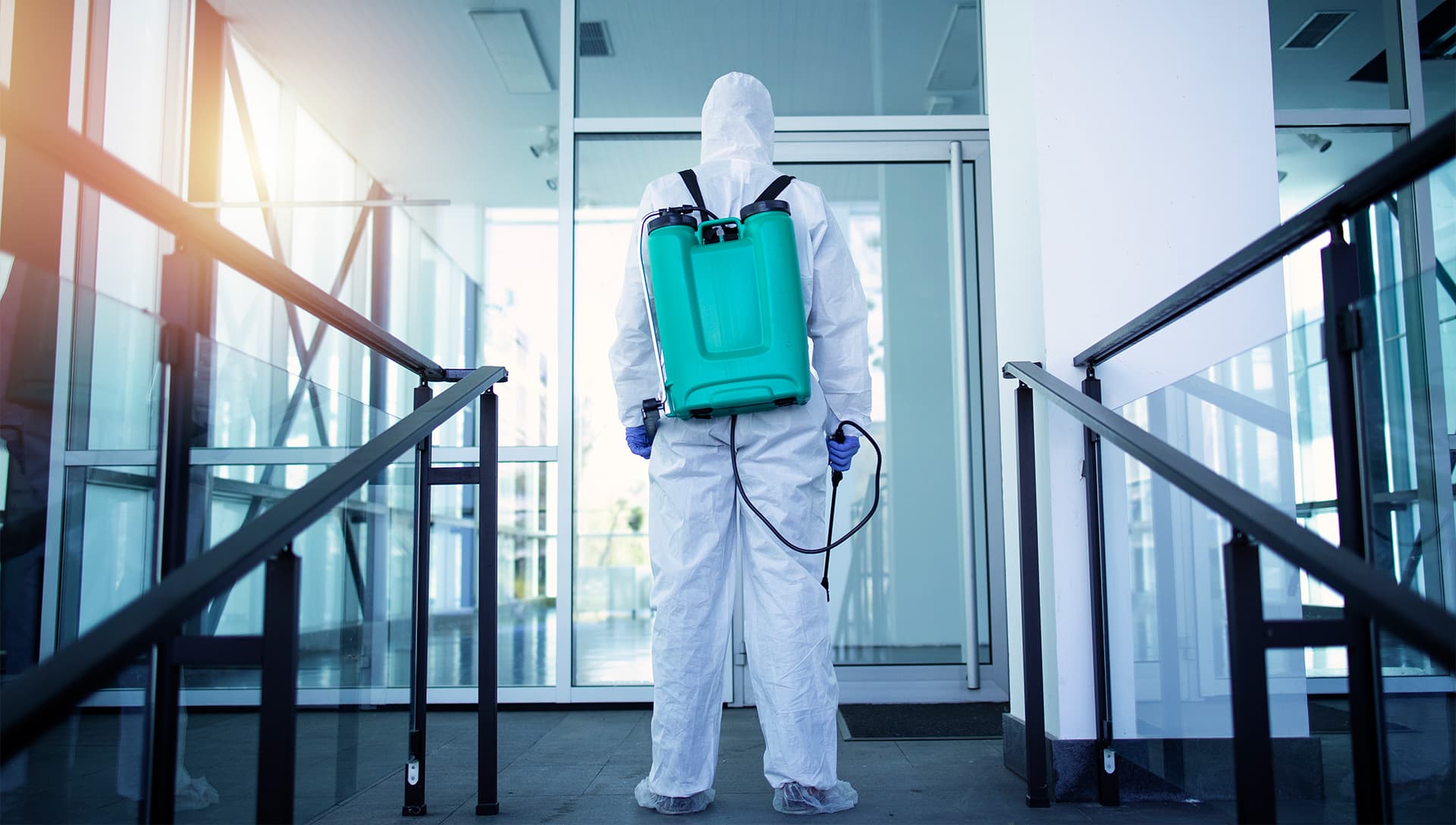 خلفية الصفحة الرئيسية - مكافحة الحشرات